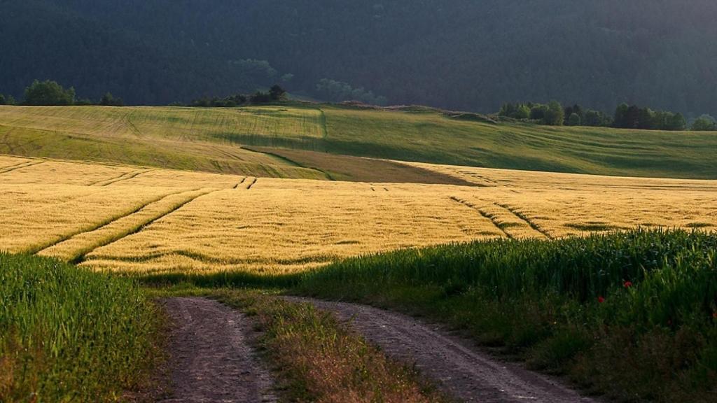 Penzion Mlynarov Dvor Dubrava Dış mekan fotoğraf