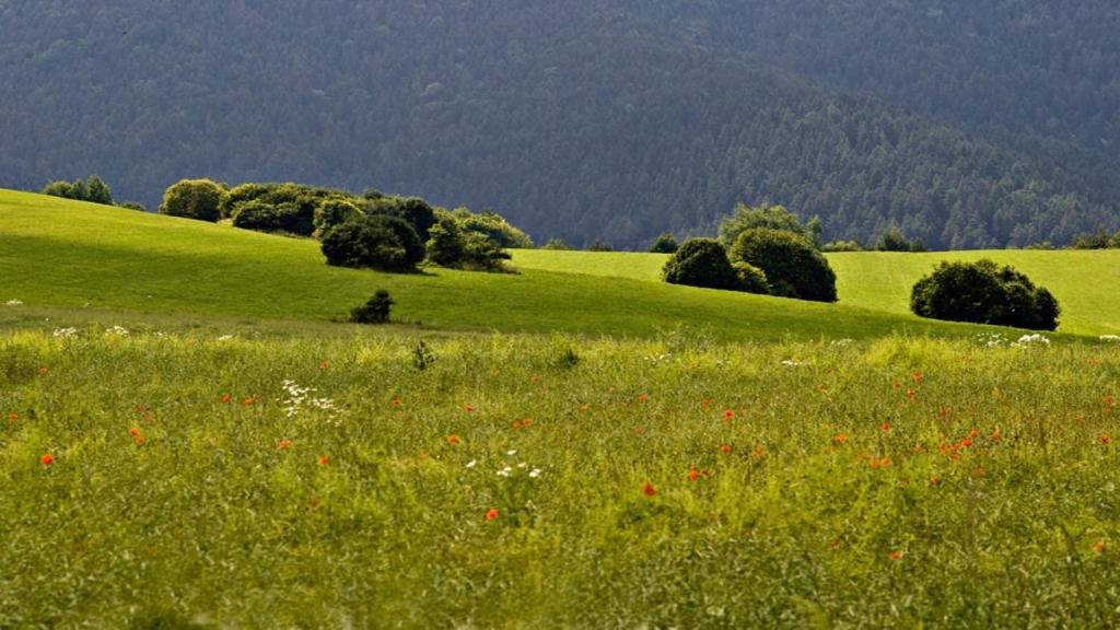 Penzion Mlynarov Dvor Dubrava Dış mekan fotoğraf