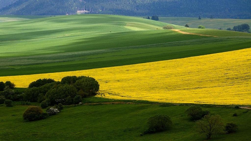 Penzion Mlynarov Dvor Dubrava Dış mekan fotoğraf